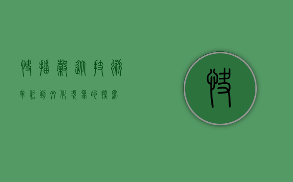 快播谷，从技术革新到文化现象的探索