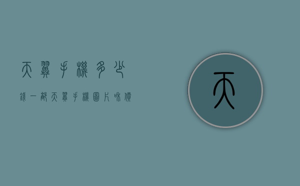 天翼手机多少钱一部（天翼手机图片和价格）