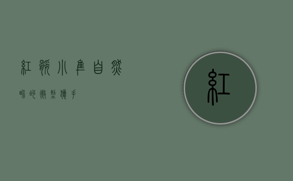 红腿小隼，自然界的微型猎手