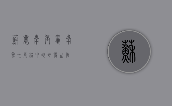 苏里南角蛙，南美洲雨林中的奇特生物