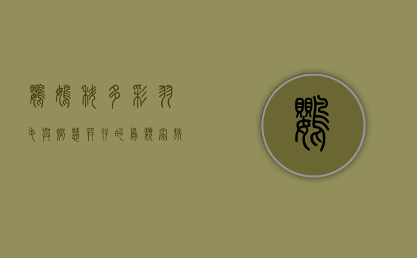 鹦鹉科，多彩羽毛与智慧并存的鸟类家族