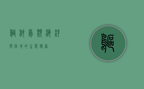 鸥科鸟类，海洋与陆地的生态使者