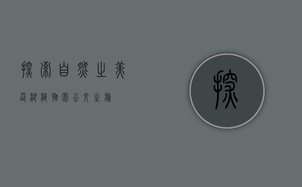 探索自然之美—仙湖植物园公交之旅