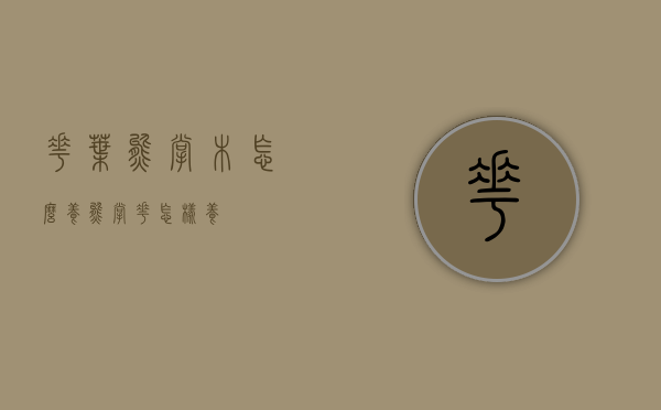 花叶熊掌木怎么养（熊掌花怎样养）