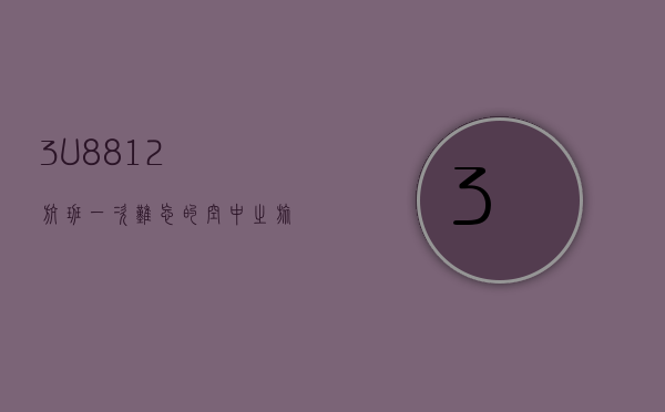 3U8812航班，一次难忘的空中之旅