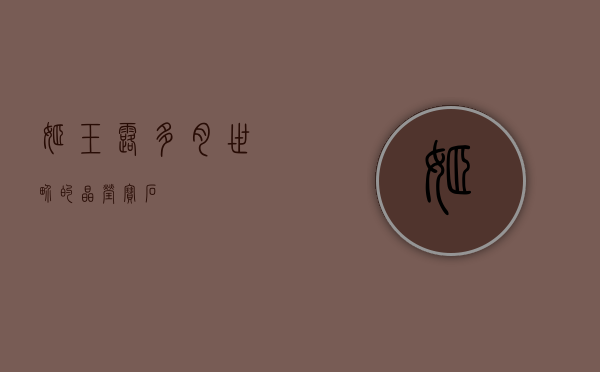 姬玉露，多肉世界的晶莹宝石