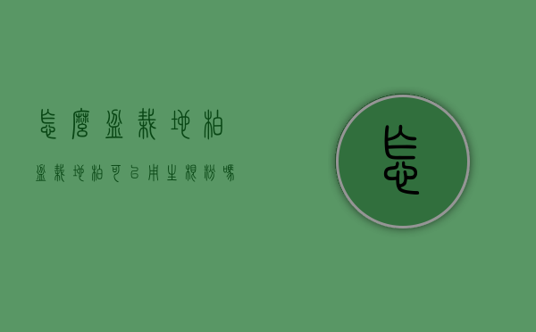怎么盆栽地柏（盆栽地柏可以用生根粉吗）