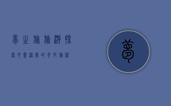 梦之旅旅游，探索心灵深处的奇妙旅程