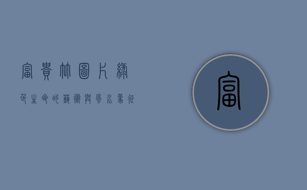 富贵竹图片，绿色生命的艺术与风水象征