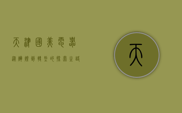 天津国美电器，从辉煌到转型的探索之路
