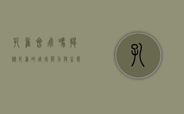 孔雀会飞吗？揭秘孔雀的飞行能力与生态习性