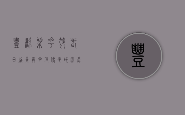 丰县梨花节，春日盛景与文化传承的完美交融