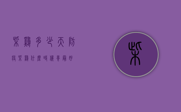 柴鸡多少天防疫（柴鸡什么时候养最好）
