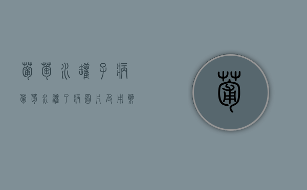 葡萄水罐子病（葡萄水灌了病图片及用药）