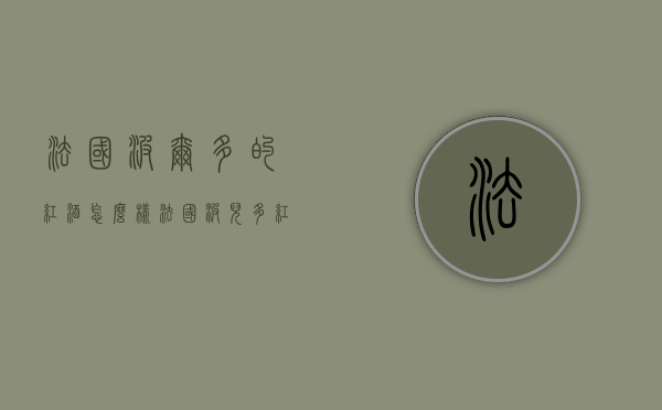 法国波尔多的红酒怎么样（法国波儿多红酒怎么样）