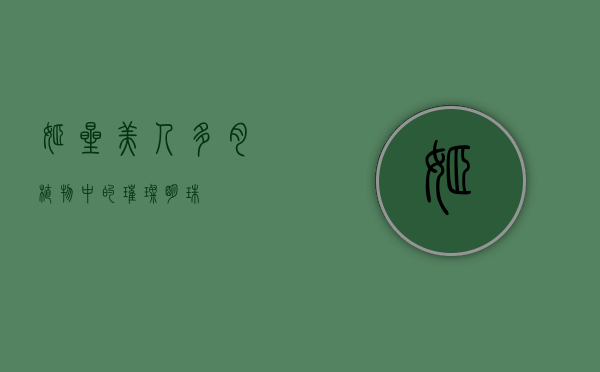 姬星美人，多肉植物中的璀璨明珠