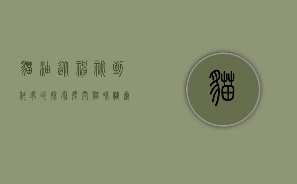 猫油，从神秘到科学的探索—揭开猫咪健康与护理的新篇章