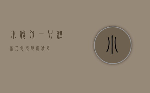 小俊介，一只治愈人心的萌宠传奇
