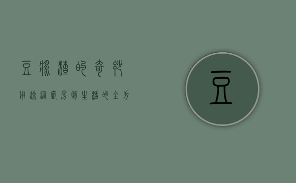 豆浆渣的奇妙用途，从厨房到生活的全方位利用