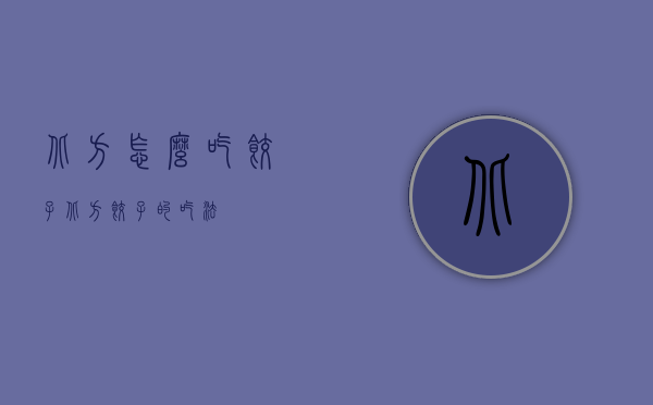 北方怎么吃饺子（北方饺子的吃法）