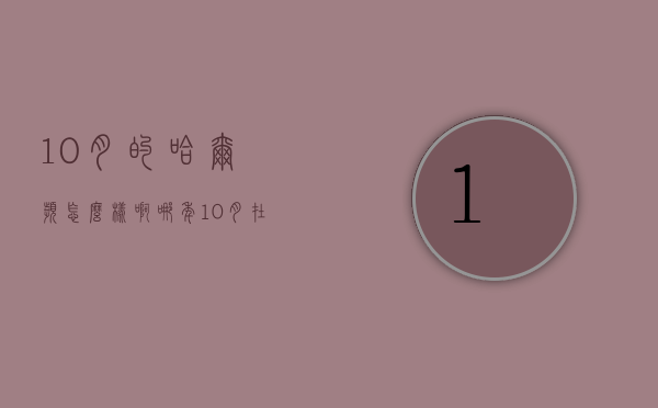 10月的哈尔滨怎么样啊（哪年10月在哈尔滨）