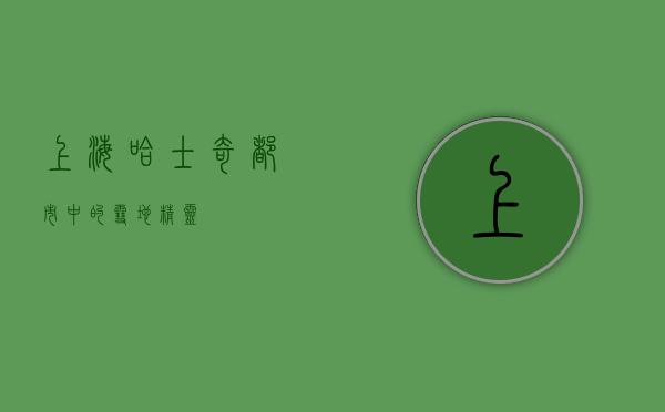 上海哈士奇，都市中的雪地精灵