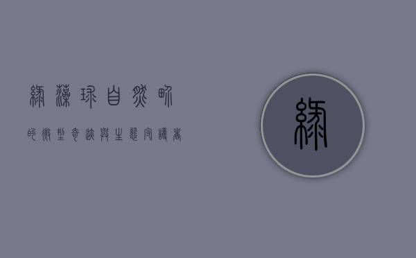 绿藻球，自然界的微型奇迹与生态守护者
