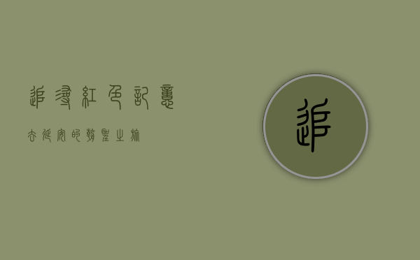 追寻红色记忆，去延安的朝圣之旅