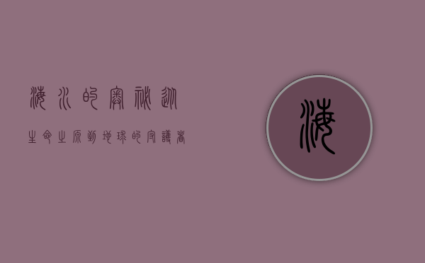 海水的奥秘，从生命之源到地球的守护者