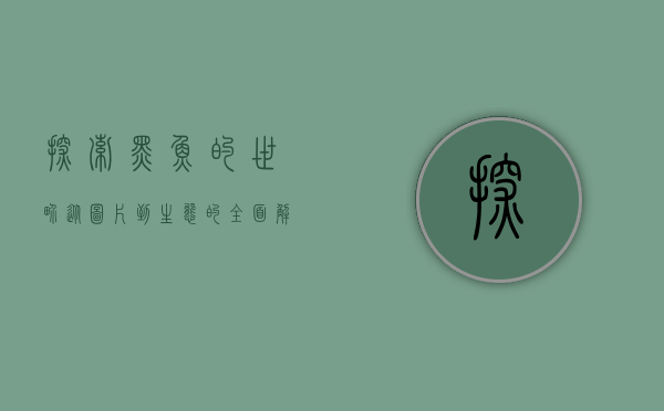 探索黑鱼的世界，从图片到生态的全面解析