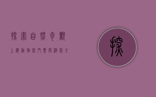 探索自然奇观，上海动物园门票与游园全攻略