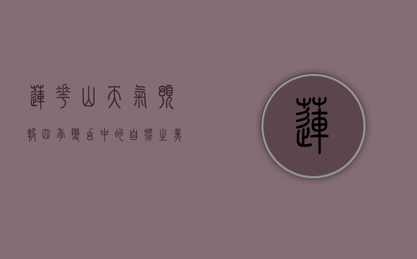 莲花山天气预报，四季变幻中的自然之美与出行指南
