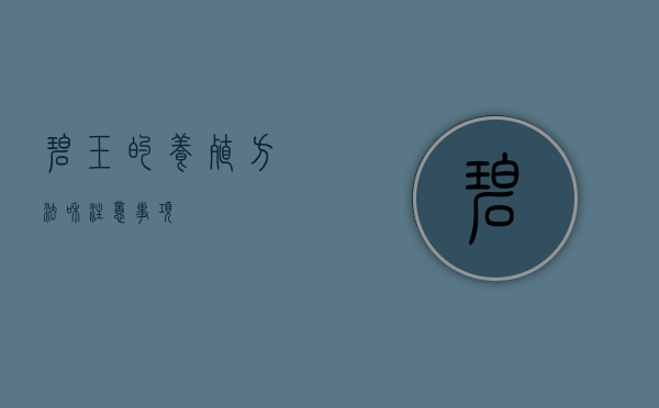 碧玉的养殖方法和注意事项