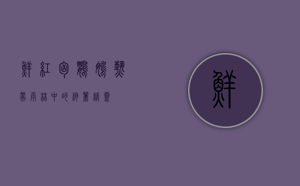 鲜红胸鹦鹉,热带雨林中的绚丽精灵 鲜红胸鹦鹉,热带雨林中的绚丽精灵