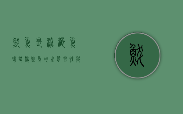 鲅鱼是深海鱼吗？揭秘鲅鱼的生态习性与栖息环境