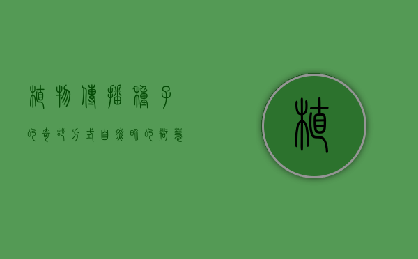 植物传播种子的奇妙方式，自然界的智慧与策略