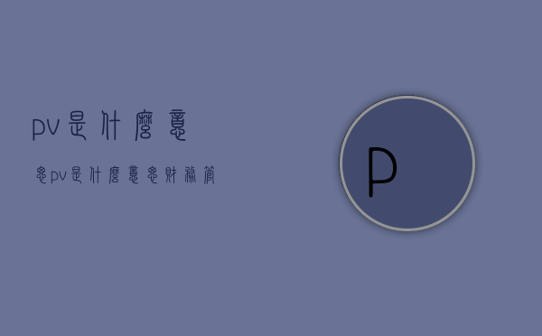 pv是什么意思（pv是什么意思财务管理）
