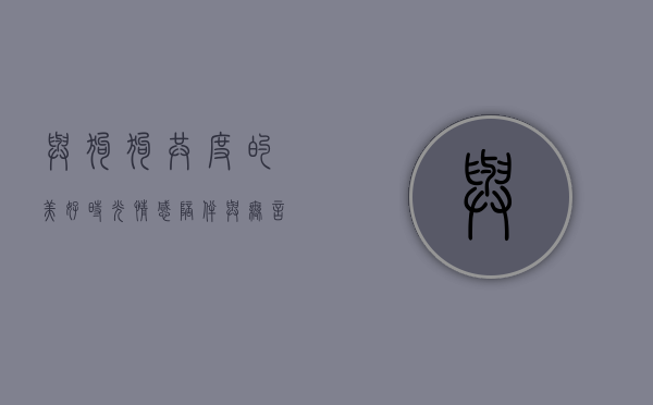 与狗狗共度的美好时光，情感、陪伴与无言的默契