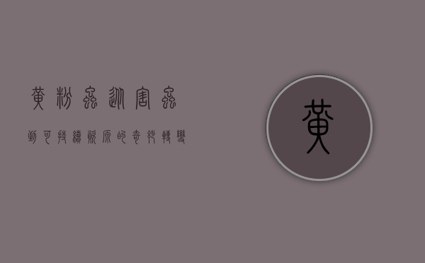 黄粉虫，从害虫到可持续资源的奇妙转变