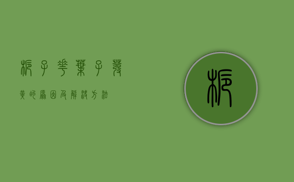 栀子花叶子发黄的原因及解决方法