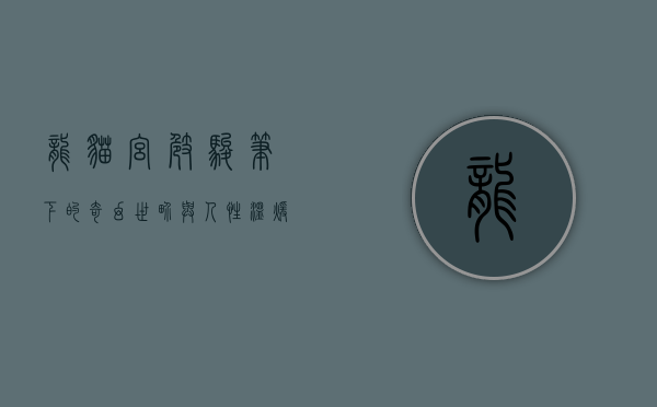 龙猫，宫崎骏笔下的奇幻世界与人性温暖