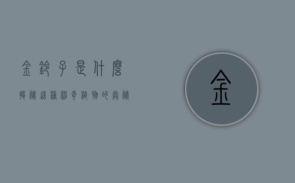 金铃子是什么？揭秘这种神奇植物的奥秘