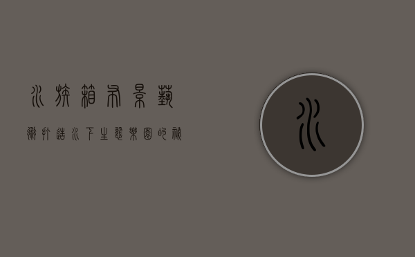 水族箱布景艺术，打造水下生态乐园的秘诀