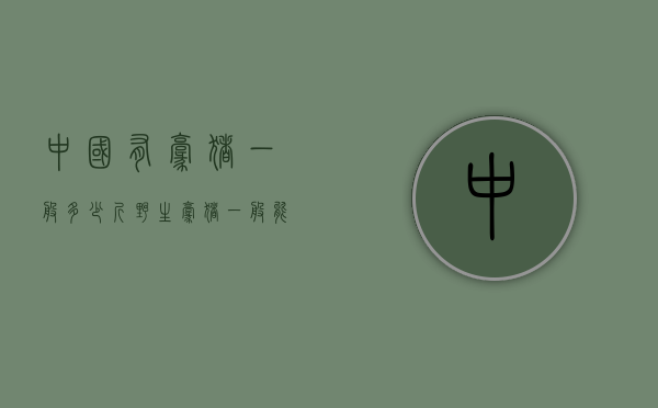 中国有豪猪一般多少斤（野生豪猪一般能长到多少斤）