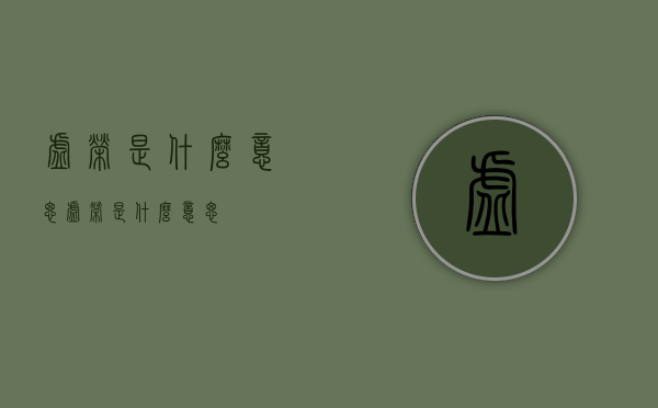 虚荣是什么意思（虚荣是什么意思）