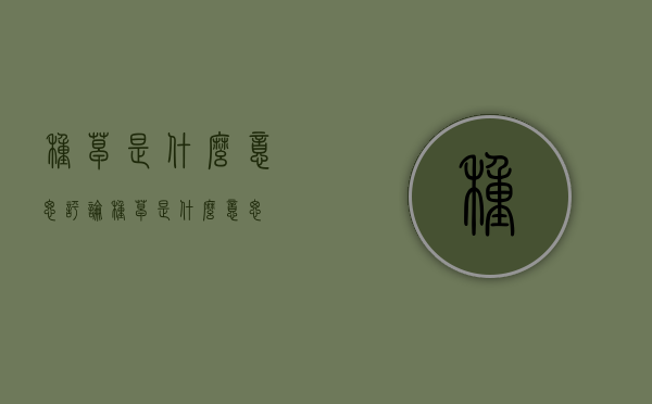 种草是什么意思（评论种草是什么意思）