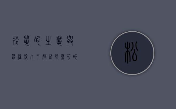 松鼠的生态与习性，深入了解这些灵巧的小动物