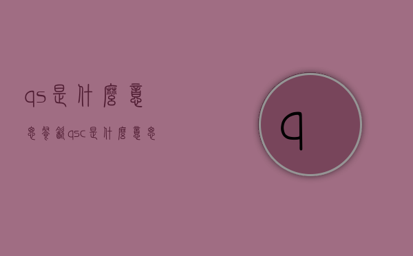 qs是什么意思（餐饮qsc是什么意思）