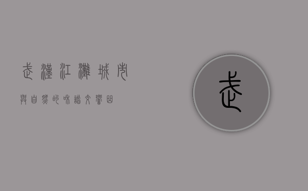 武汉江滩，城市与自然的和谐交响曲