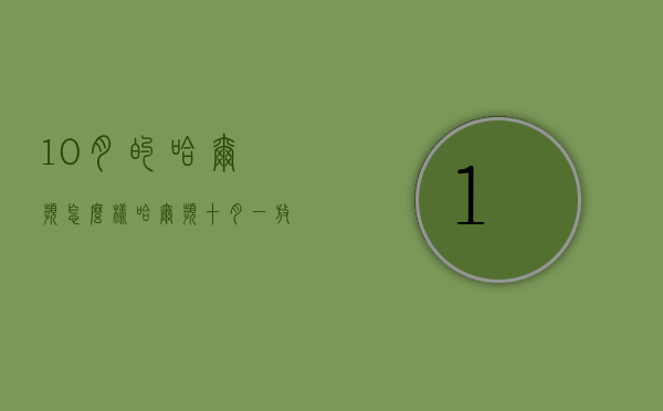 10月的哈尔滨怎么样（哈尔滨十月一放假吗）